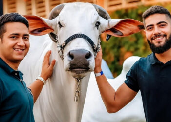 Henrique e Juliano criam gado Nelore em fazenda de 1.306 hectares com aeroporto, pista de drift e piscina de borda infinita