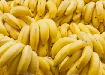 Surpreendente história banana mudou geopolítica
