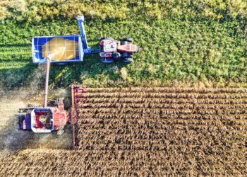 Agro brasileiro ganha força china