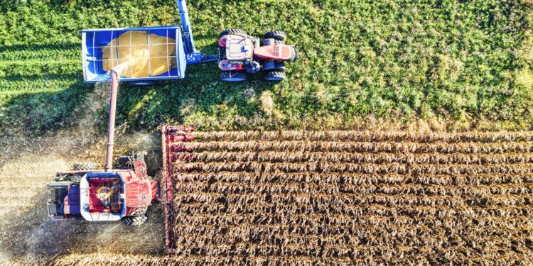 Agro brasileiro ganha força china