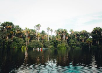 Amazônia escondeu séculos civilização milhões