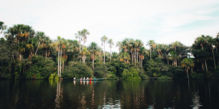Amazônia escondeu séculos civilização milhões