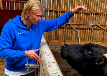 Haaland revela envolvimento agronegócio fora