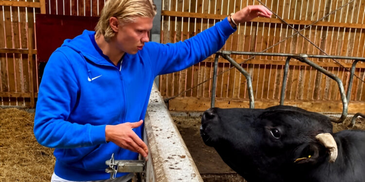 Haaland revela envolvimento agronegócio fora