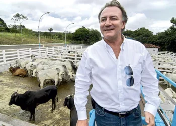 Dono friboi começou trabalhar montado
