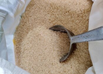 Arroz fica valorizado produtores esperando