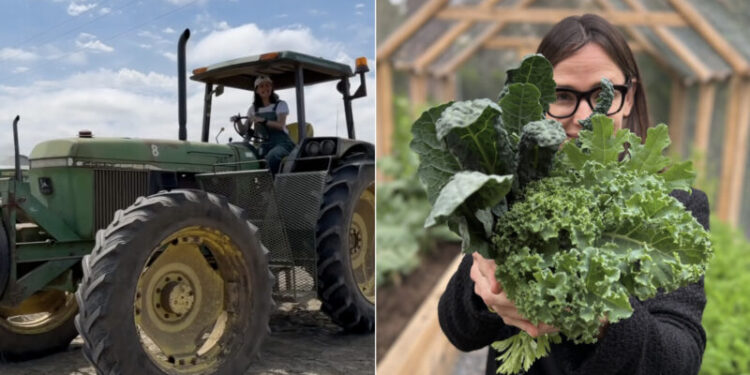 Atriz compra volta fazenda adquirida