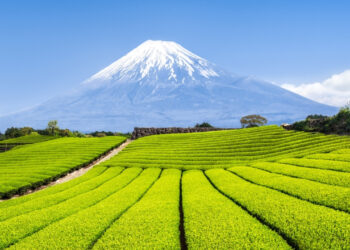 Brasil abre portas produtos agro