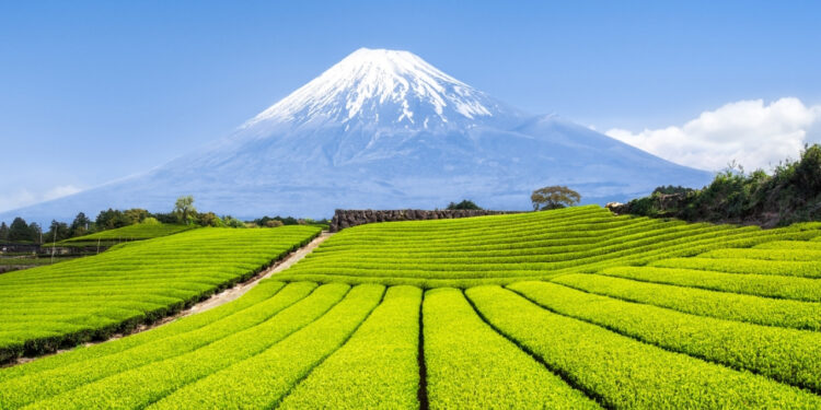 Brasil abre portas produtos agro