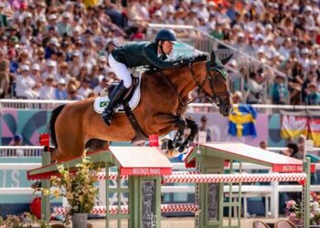 Cavalo criado brasil superou animais