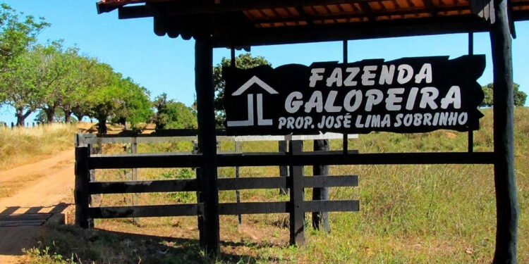 Chitãozinho mantém boiada aproximadamente mil
