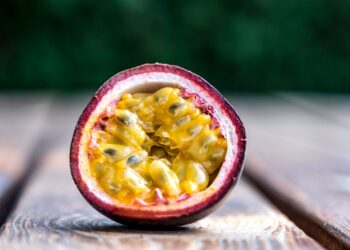 Cientistas levam criar maracujá roxo