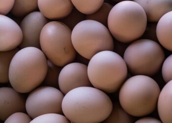 Brasil produziu bilhões ovos ano