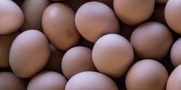 Brasil produziu bilhões ovos ano