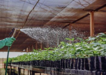 Consumo defensivos agrícolas sobe saiba