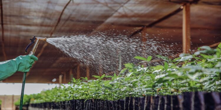 Consumo defensivos agrícolas sobe saiba