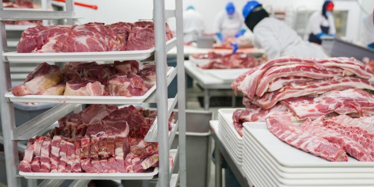Europa proíbe carne brasil alimento