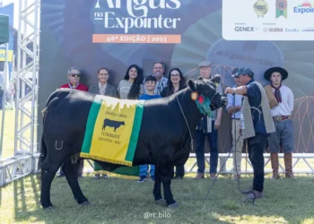 Brasileira mano menezes conquista títulos