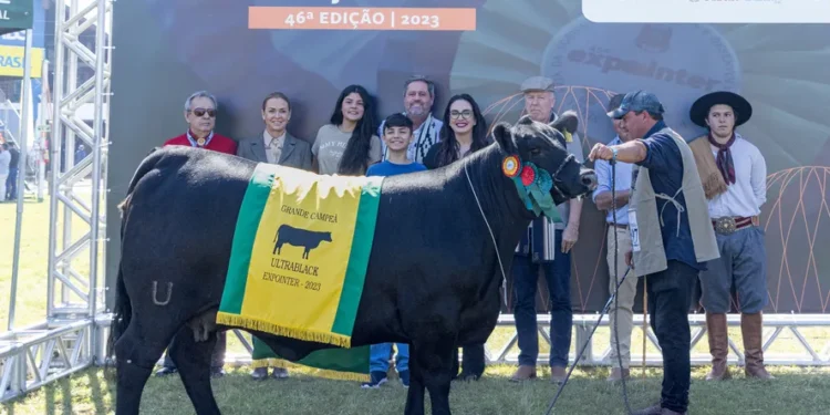 Brasileira mano menezes conquista títulos