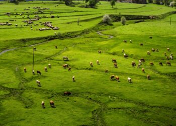 Fazenda continua verde dois meses