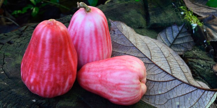 Fruta asiática tornou tão comum