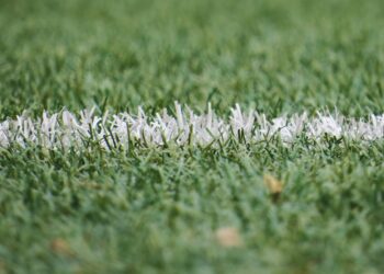 Gramados usados copa mundo levaram