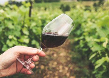 Mil litros vendidos vinho apreendidos