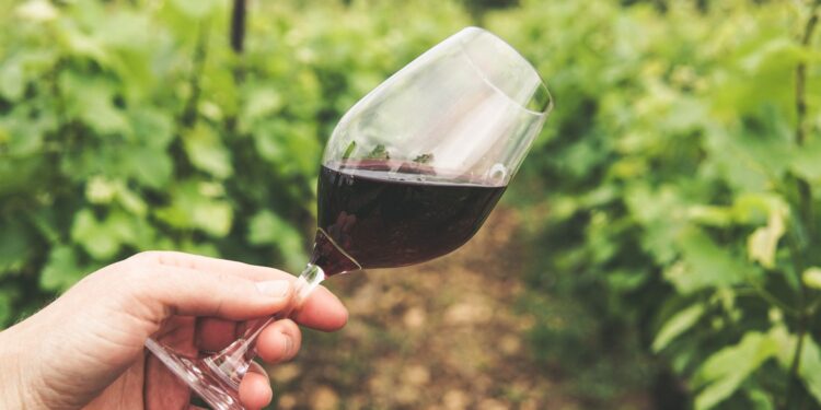 Mil litros vendidos vinho apreendidos