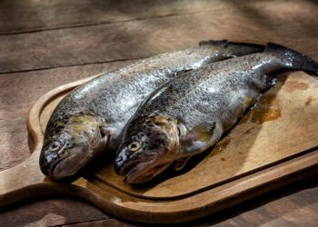 Tilápia tambaqui peixe extremamente bonito