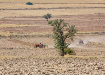 Fenômeno mudar clima lavouras brasileiras