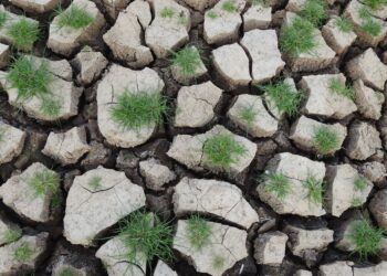 Forte super promete mudar clima