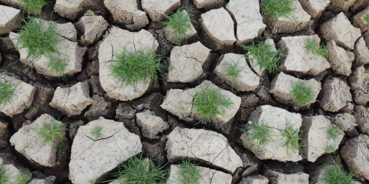 Forte super promete mudar clima