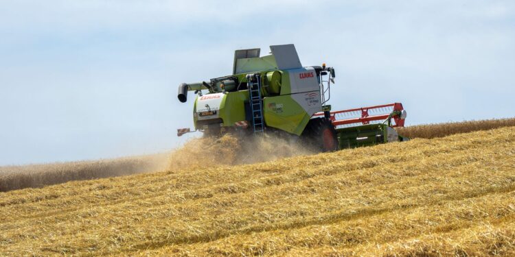 Esperar campo próximos pontos vitais