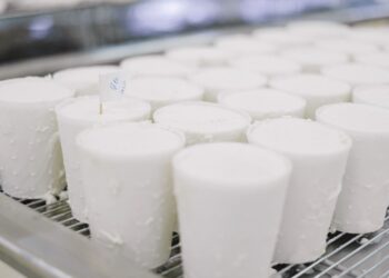 Motivou fim produção fábricas leite