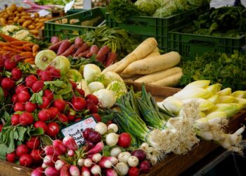 Produtos agrícolas rentabilizam hectare brasil