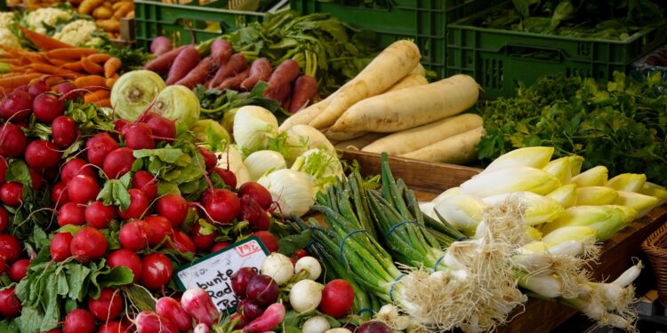 Produtos agrícolas rentabilizam hectare brasil