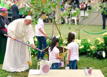 Papa francisco agricultura existe humanidade