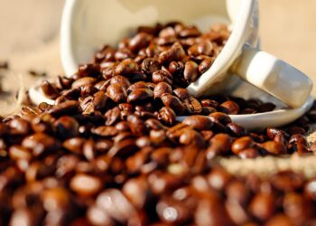 Preço café cai acontecia plano