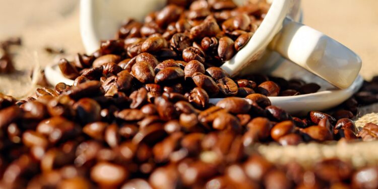 Preço café cai acontecia plano