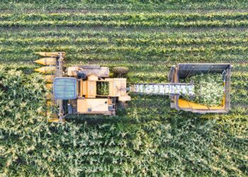 Primeiro homem usar expressão agricultura