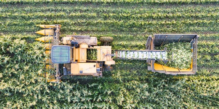 Primeiro homem usar expressão agricultura