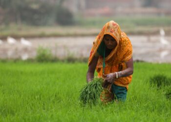 Professora trabalha agricultura horas vagas