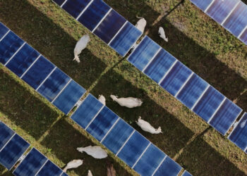 Usina cria placas solares abrem