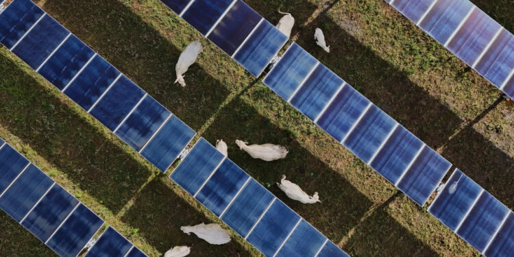 Usina cria placas solares abrem