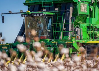Agricultor poderá conversar inteligência artificial