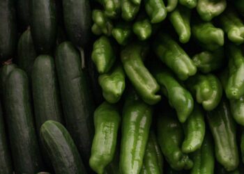 Agricultor anuncia tonelada pepino rap
