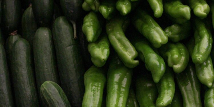 Agricultor anuncia tonelada pepino rap