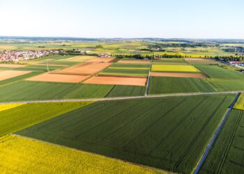 Agricultor quase perdeu campo hectares