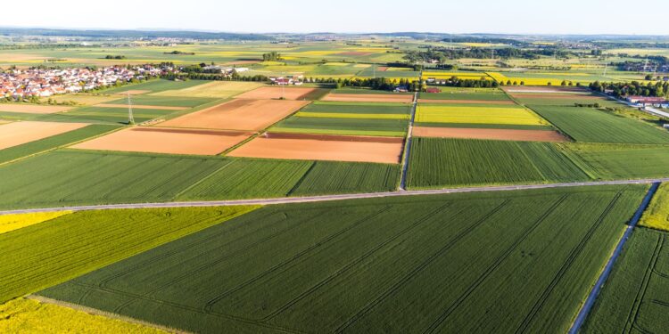 Agricultor quase perdeu campo hectares
