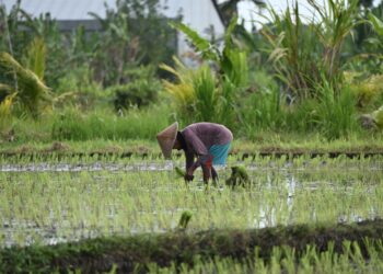 Agricultor estudou somente série encontra